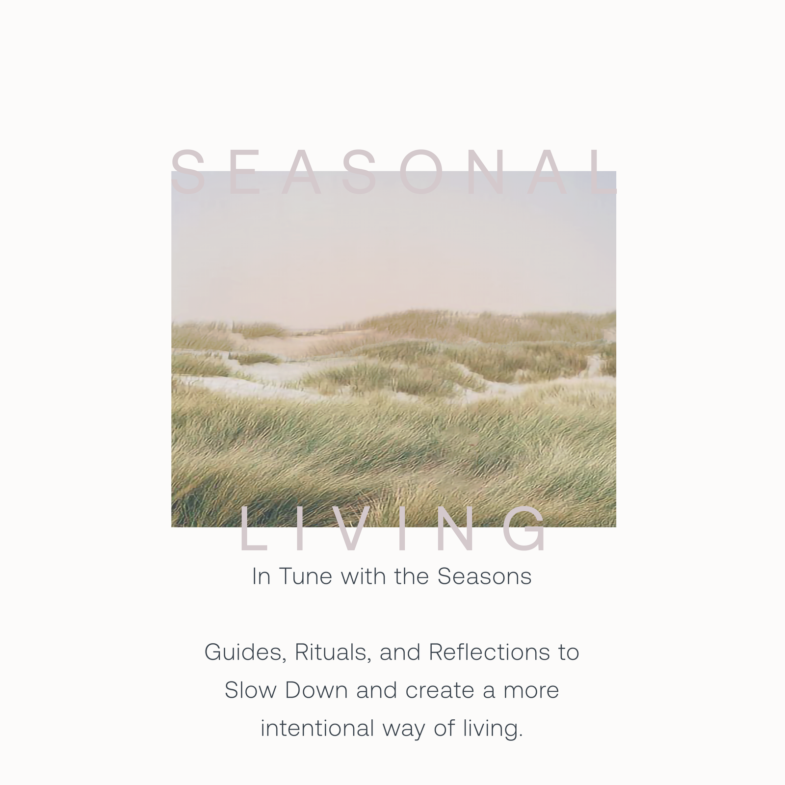 Seasonal Living for wellbeing Glimmery moments