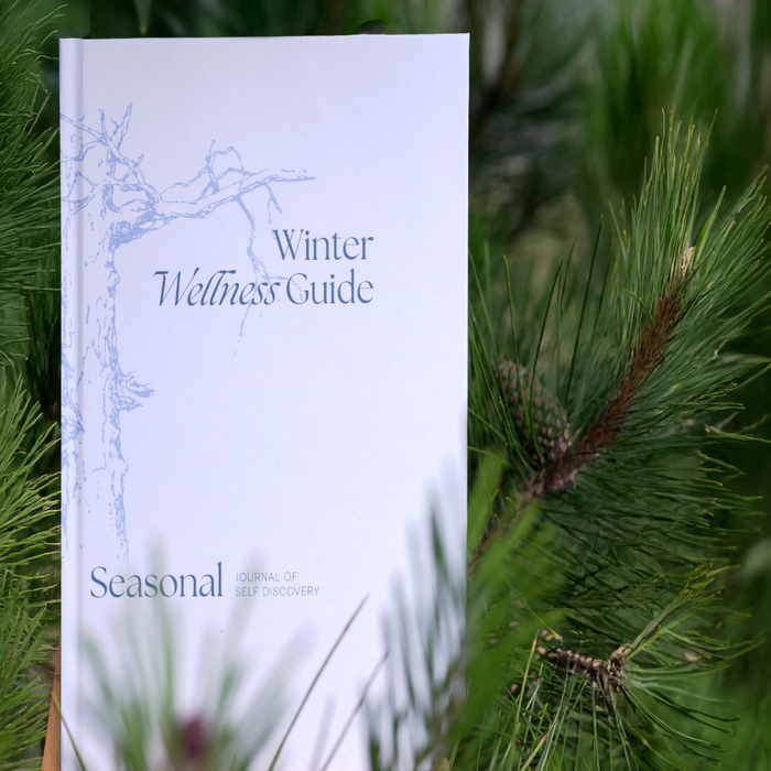 Mood Organizer - 2026 Wellbeing Planners