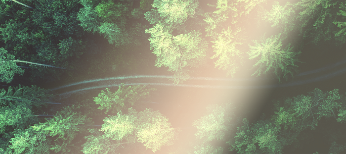 2025 Better Goal Setting - Roadmap to succes and Balance