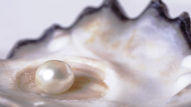 A pearl resting inside an oyster shell, symbolizing Micro Pause how small, quiet moments of pause can gradually form calm and resilience within a busy life