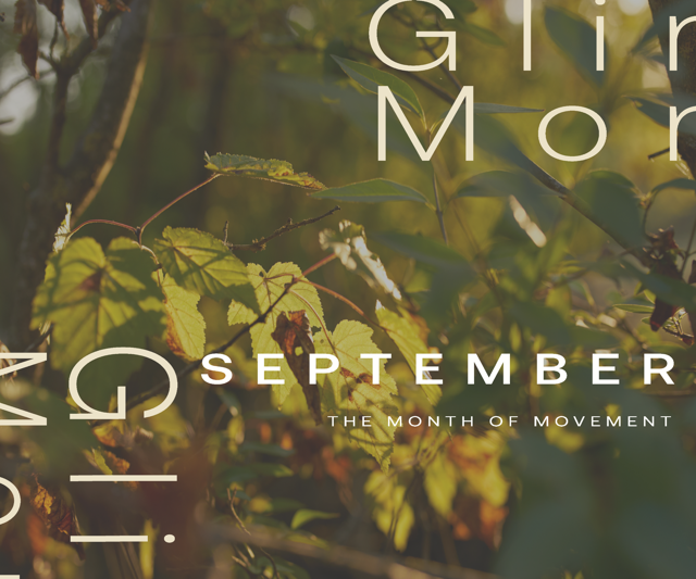 September — the month of movement. Autumn leaves in soft sunlight symbolizing slow rhythm, seasonal living, and intentional wellness.