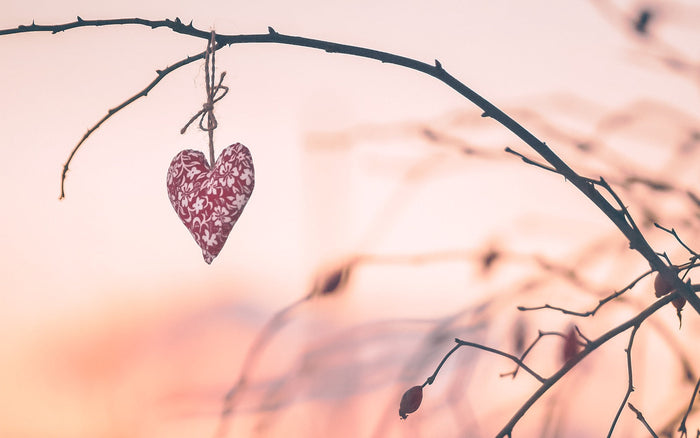 Why Choosing an Analog Lifestyle in 2026 Might Be the Kindest Form of Self-Care