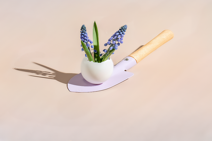 Mini garden shovel holding a white egg vase with spring flowers, styled in soft light.