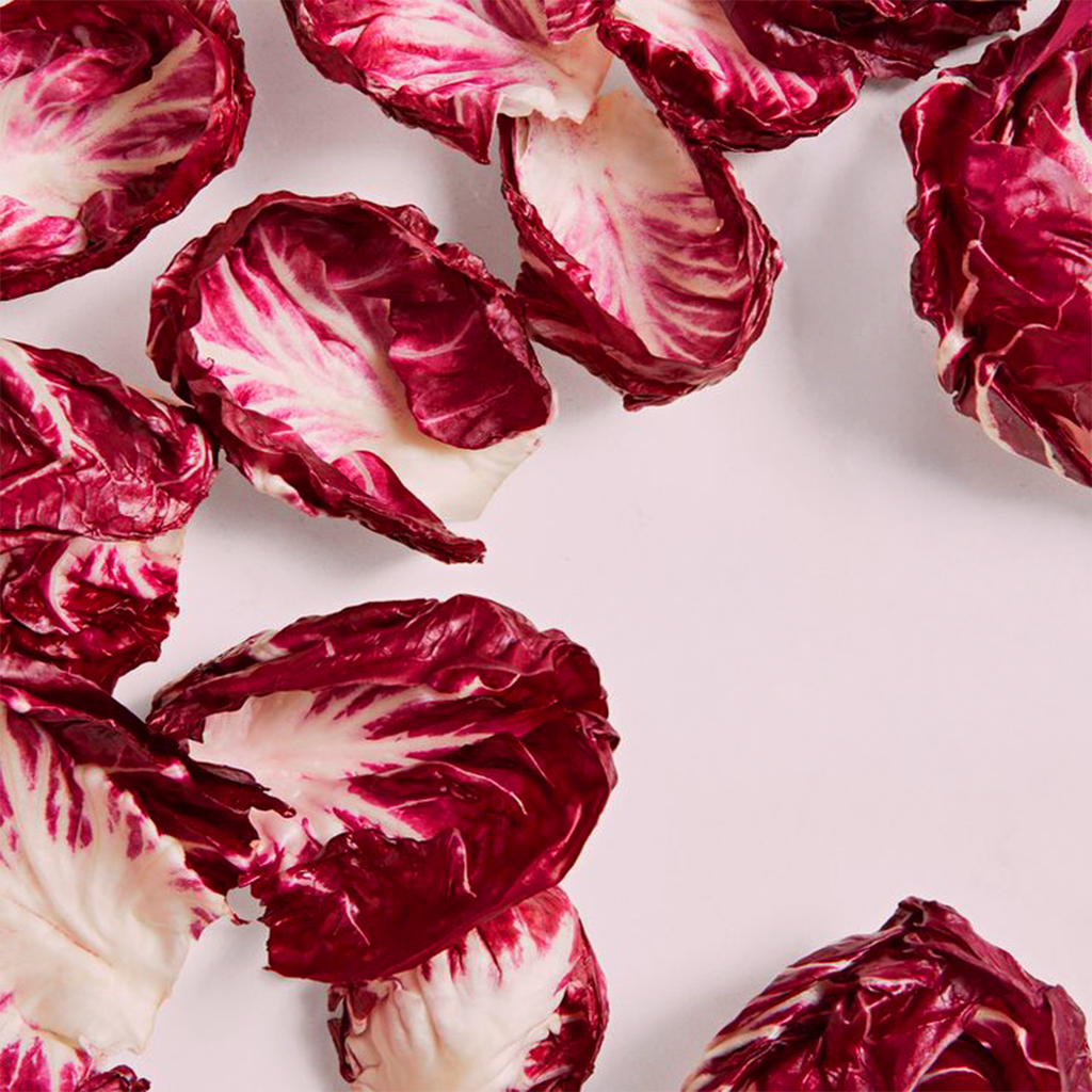 Fresh radicchio leaves showing deep burgundy and white contrast