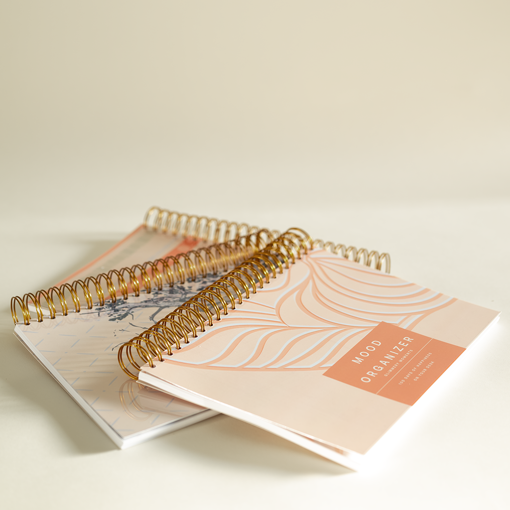 Mood Organizer 2026 - A4 Daily Planner for Mental Wellbeing & Calm Focus | Slow Living
