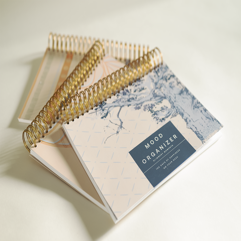Mood Organizer 2026 - Feel-Good A4 Desk Planner | Undated Daily Planner