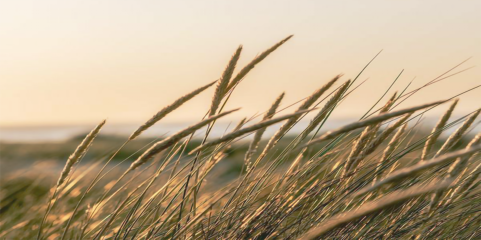 Soft beach photography for seasonal cookbook mood autumn seaside scene