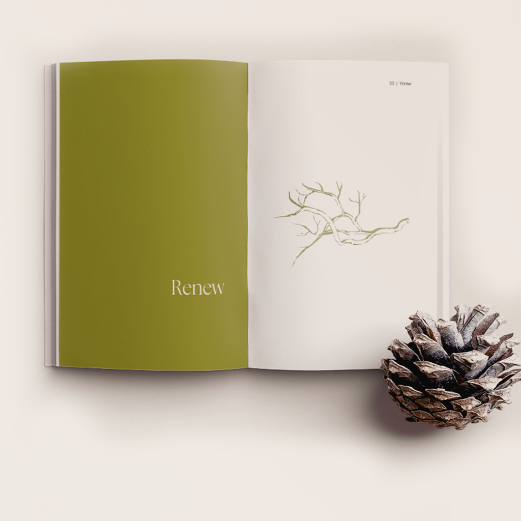 Winter Wellness Guide | Reset, Slow Down & Renew This New Year