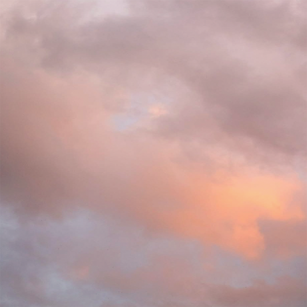 Winter Wellness Guide | Reset, Slow Down & Renew This New Year