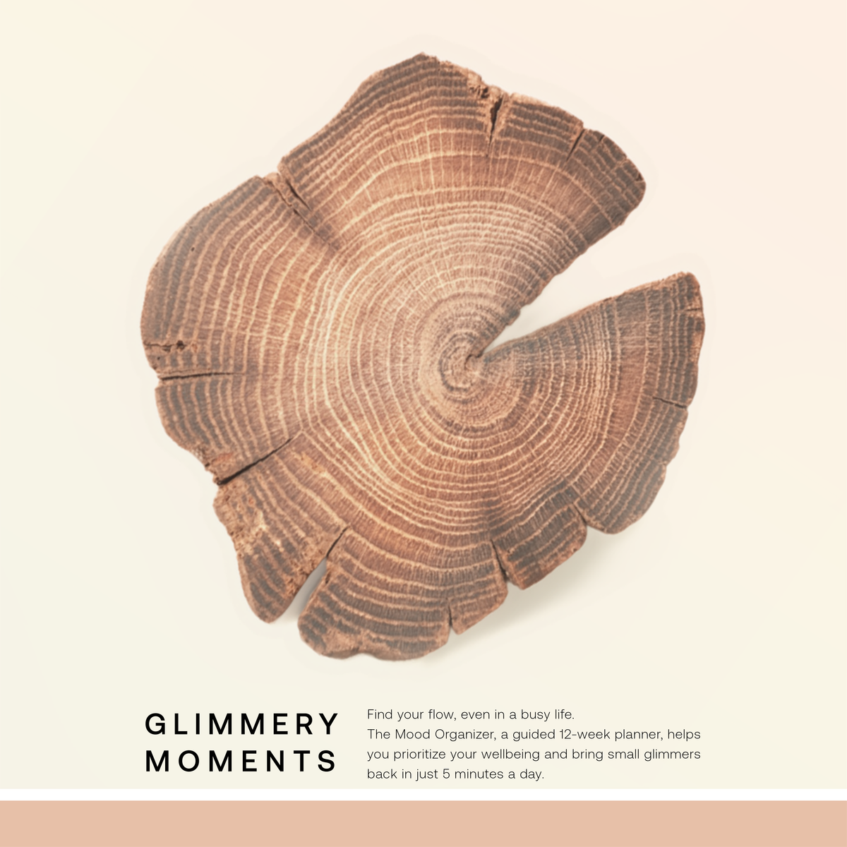 Feel-Good Desk Planner - 12-Week Guided Journal & Life Coach on Your Desk