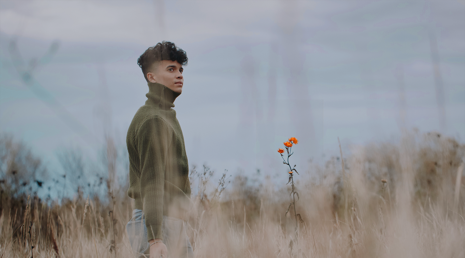 Single wildflower in soft focus against a misty winter field, symbolizing seasonal quiet and the field of possibilities — an invitation to slow living and offline seasonal rituals.
