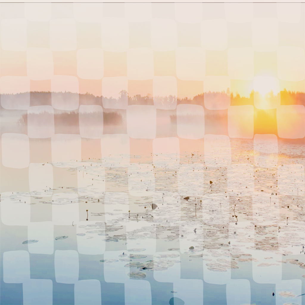 Winter Wellness Guide | Reset, Slow Down & Renew This New Year